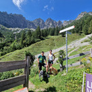 Sattelalpe3.jpg