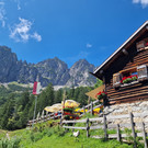 Sattelalpe4.jpg