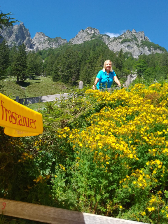 Sattelalpe12.jpg