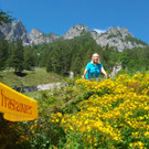 Sattelalpe12.jpg