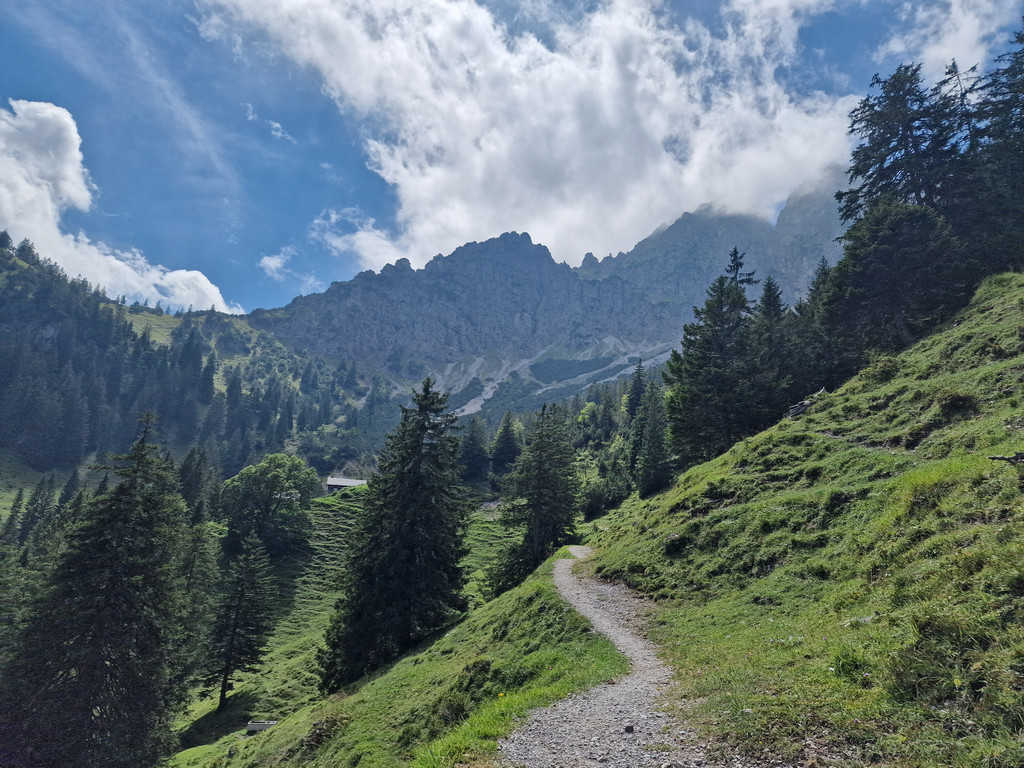 Sattelalpe14.jpg