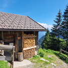 Sattelalpe16.jpg
