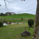 20240820_185744000_iOS 1.jpg