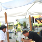 DSC07338.JPG