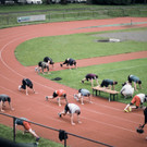FitGames2024_ _102_.JPG