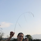 IMG_0065a.jpg