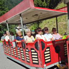 IMG_20240829_113850893 _004_.jpg