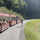 IMG-20240830-WA0000.jpg