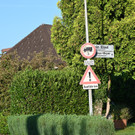DSC_6692.jpg