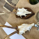 WhatsApp Image 2024-08-27 at 13_45_28 _1_.jpeg