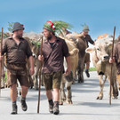 Fraxner Alpabtrieb von den Alpen Maiensäß und Staffelalpe