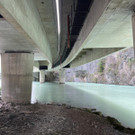 20240903_121007000_iOS 2.jpg