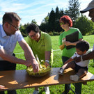 Suche nach der größten Sonnenblume