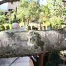 IMG_0593.JPG