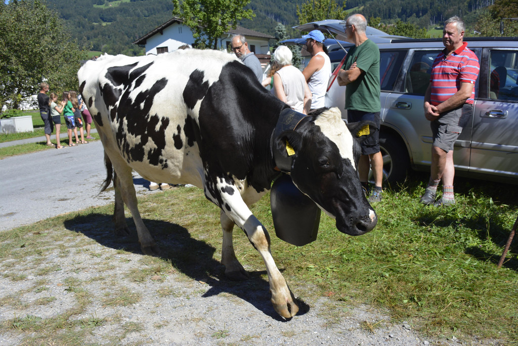 _DSC9640.JPG