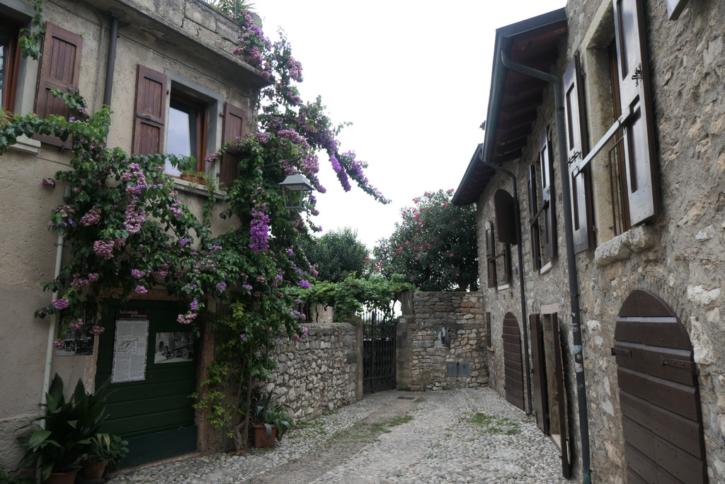 P1001558.JPG