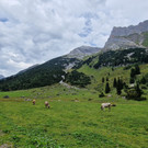 DaalaserSTafel15_2.jpg