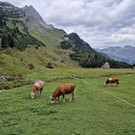 DaalaserStafel15_1.jpg