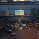Altacher_Sommer_13.jpeg