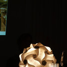 P1011029a.jpg