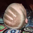 crazy_hairdos_007.jpg