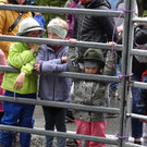 DSC09506.JPG