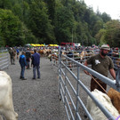DSC09509.JPG