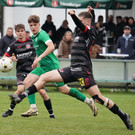 aDSC09475.jpg