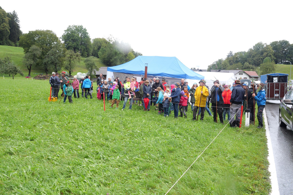 P1011187.JPG