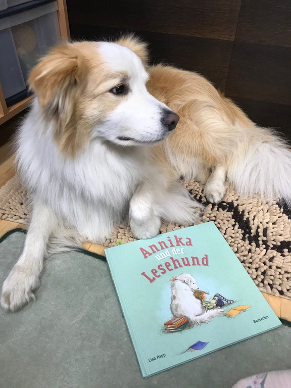 Sami_Lesehund2.jpg