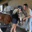 Tierische Nachhilfe-Stunden