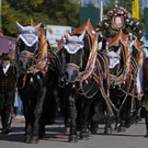 Germany_Oktoberfest_Opening_48500.jpg