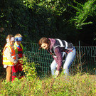 DSC09593.JPG