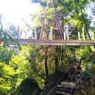 IMG-20240919-WA0010.jpg