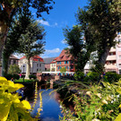 20240918_143121.jpg