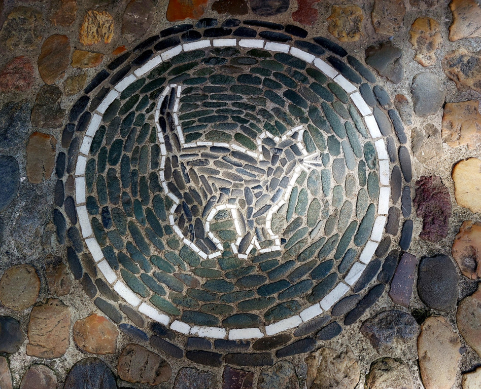 20240919_111138.jpg