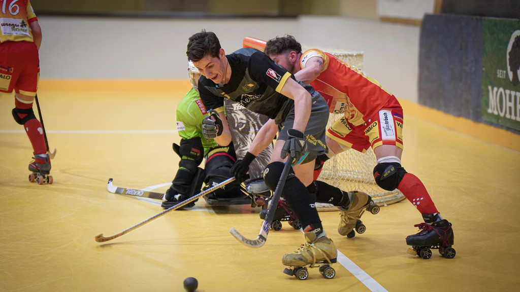 DSC00495_kl.jpg