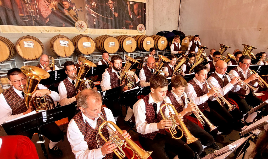 Prinz HOFFEST Impressionen ANK__NDIGUNG SOLOBILD Musikverein Oktober 2024 _1_.jpg