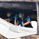 AFP_36HQ622.jpg