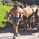 Alpabtrieb der Alpen Valschaviel und Valzifenz