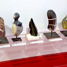 DSC_0780 2 _1_.JPG