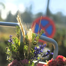 DSC07719.JPG