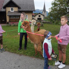 P1012226 DankTier.JPG