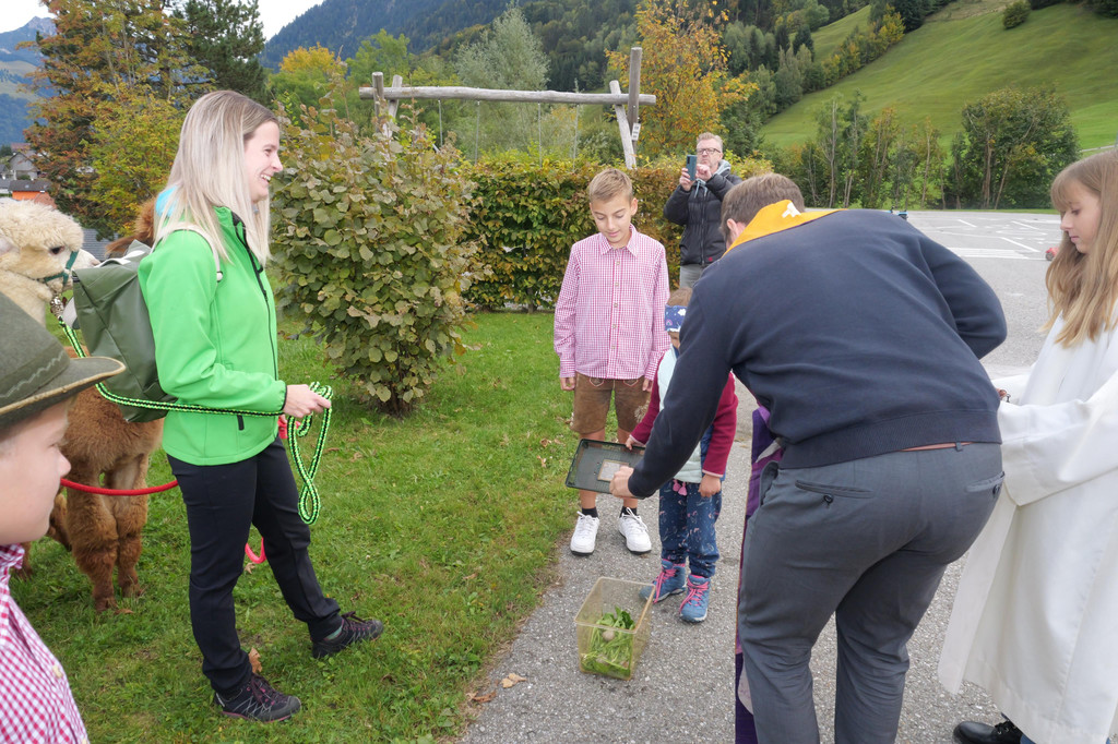 P1012233 Schnecken.JPG