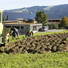 OGV_Buch_Dinkelanbau16.JPG