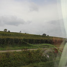 IMG_6838.JPG