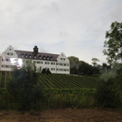 IMG_6844.JPG