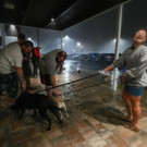 Hurricane_Milton_Weather_32555.jpg