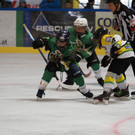 PA050007.jpg