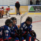 PA050115.jpg